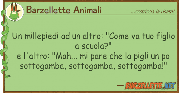 Barzellette Animali millepiedi altro: "come va