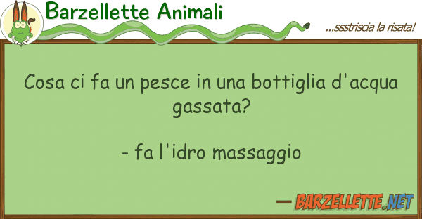 Barzellette Animali cosa fa pesce bottiglia d'a