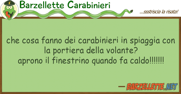 Barzellette Carabinieri cosa fanno carabinieri spiagg