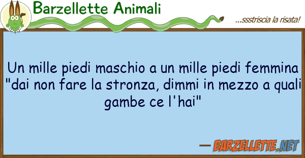 Barzellette Animali mille piedi maschio mille piedi