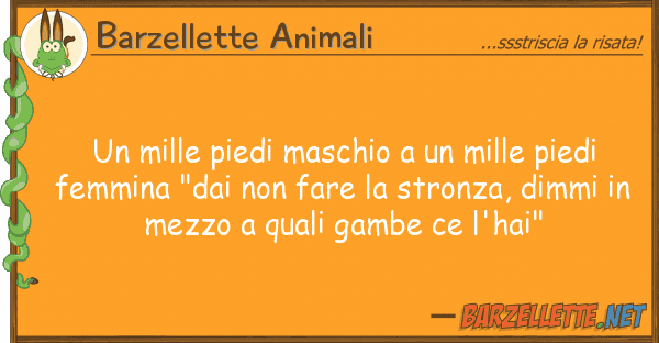 Barzellette Animali mille piedi maschio mille piedi