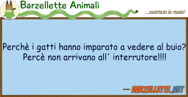 Barzellette Animali perchè gatti hanno imparato vedere