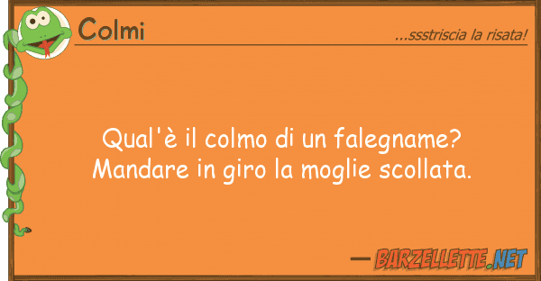 Colmi qual'è colmo falegname? manda