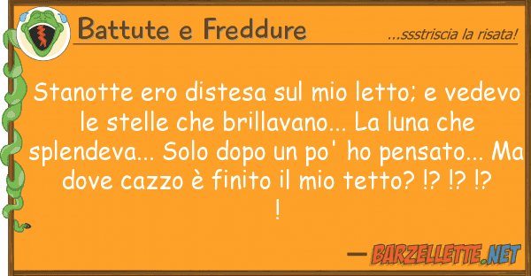 Battute e Freddure stanotte ero distesa letto; ve