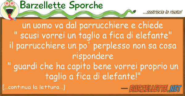 Barzellette Sporche uomo va parrucchiere chiede "