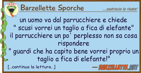 Barzellette Sporche uomo va parrucchiere chiede "