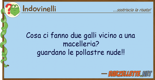 Indovinelli cosa fanno due galli vicino mac