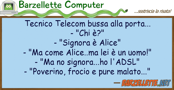 Barzellette Computer tecnico telecom bussa porta... - "