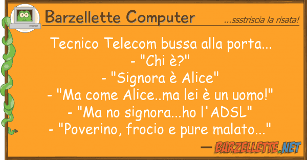 Barzellette Computer tecnico telecom bussa porta... - "