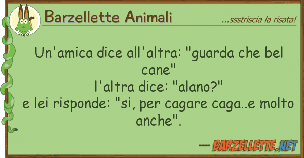 Barzellette Animali un'amica dice all'altra: "guarda bel