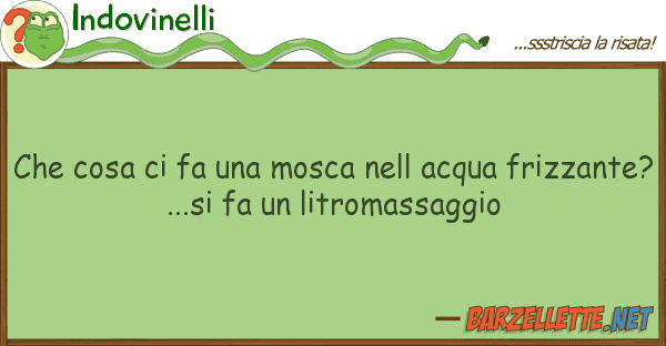 Indovinelli cosa fa mosca acqua friz