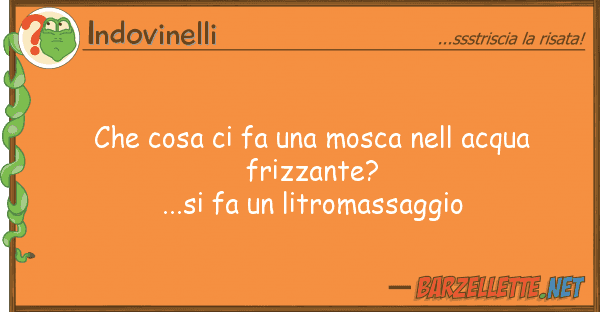 Indovinelli cosa fa mosca acqua friz