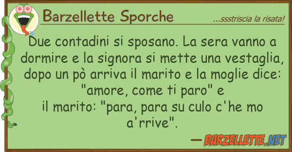 Barzellette Sporche due contadini sposano. sera vanno