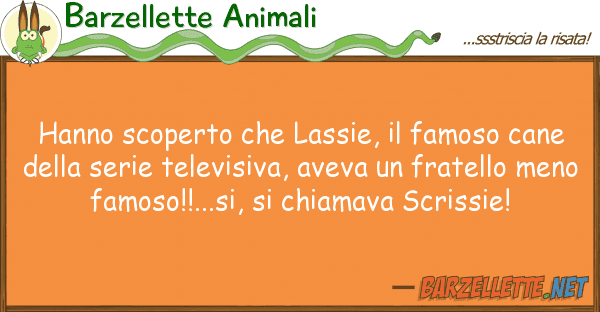 Barzellette Animali hanno scoperto lassie, famoso can