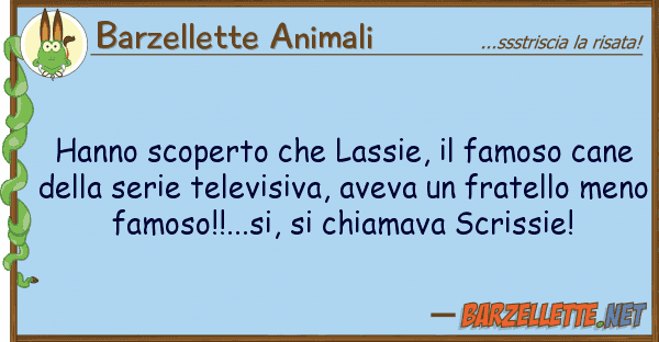 Barzellette Animali hanno scoperto lassie, famoso can