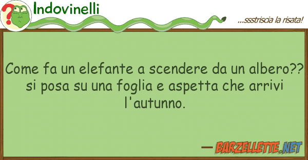 Indovinelli fa elefante scendere alb