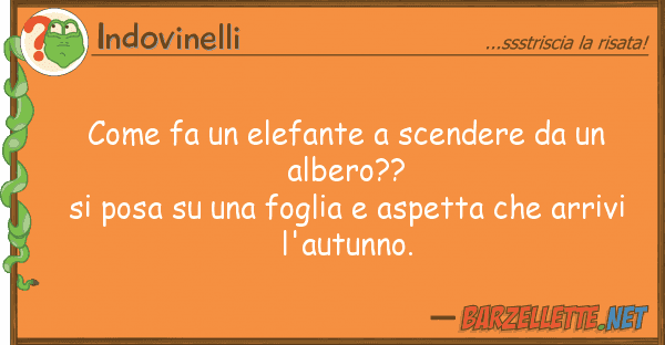 Indovinelli fa elefante scendere alb