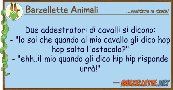 Barzellette Animali due addestratori cavalli dicono: