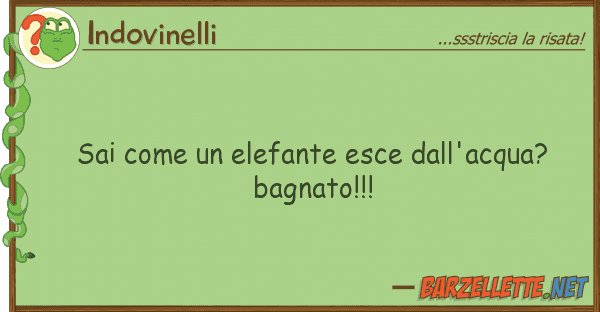 Indovinelli sai elefante esce dall'acqua? ba