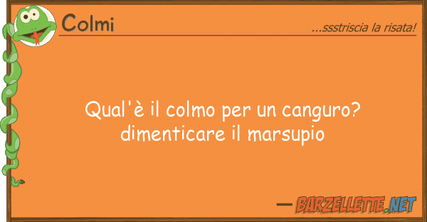 Colmi qual'è colmo canguro? dimenti