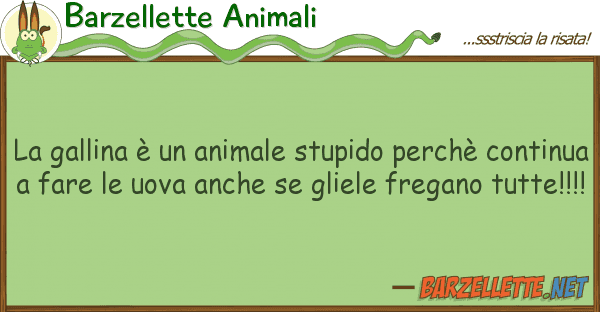 Barzellette Animali gallina è animale stupido perchè