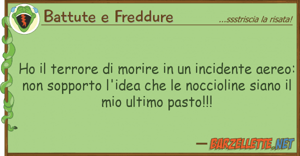 Battute e Freddure ho terrore morire incidente