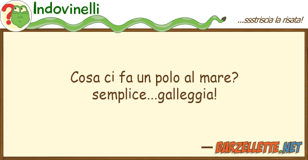 Indovinelli cosa fa polo mare? semplice...g