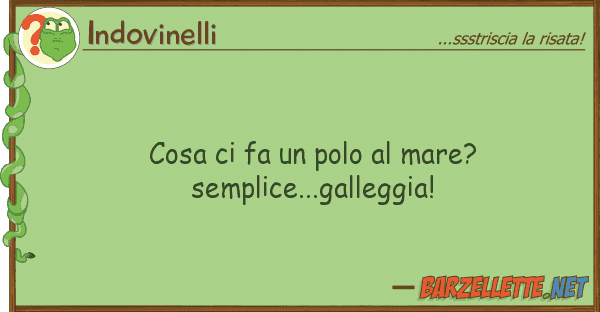 Indovinelli cosa fa polo mare? semplice...g