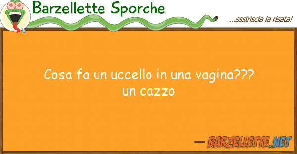 Barzellette Sporche cosa fa uccello vagina???