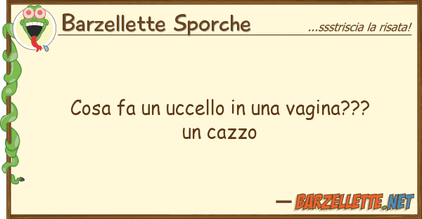 Barzellette Sporche cosa fa uccello vagina???