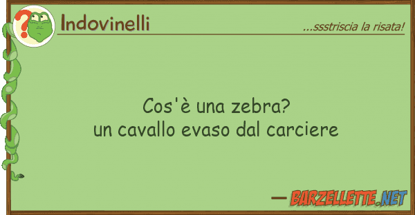 Indovinelli cos'è zebra? un cavallo evaso