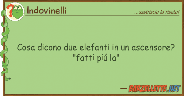Indovinelli cosa dicono due elefanti ascensore