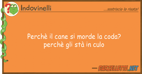 Indovinelli perchè cane morde coda? perch