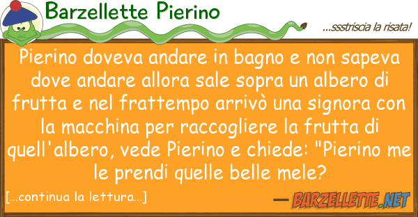 Barzellette Pierino pierino doveva andare bagno sap
