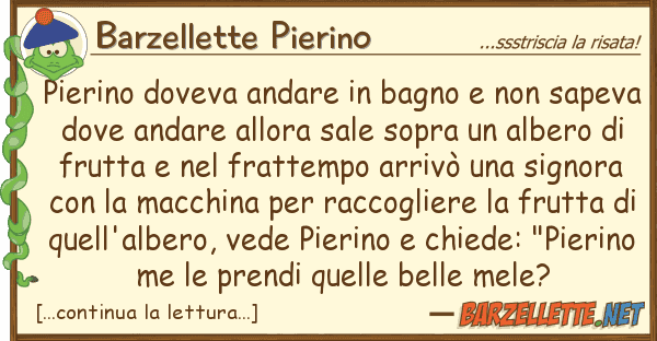 Barzellette Pierino pierino doveva andare bagno sap