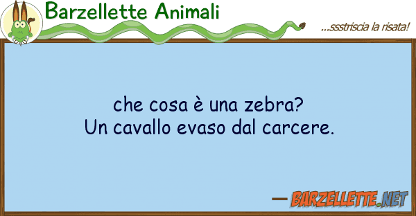 Barzellette Animali cosa è zebra? un cavallo evaso
