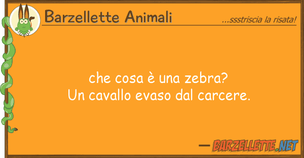 Barzellette Animali cosa è zebra? un cavallo evaso