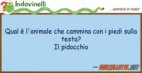 Indovinelli qual è l'animale cammina pied