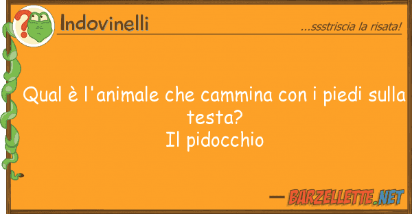 Indovinelli qual è l'animale cammina pied