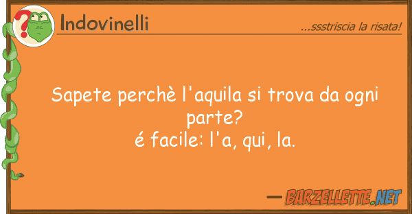 Indovinelli sapete perchè l'aquila trova ogn