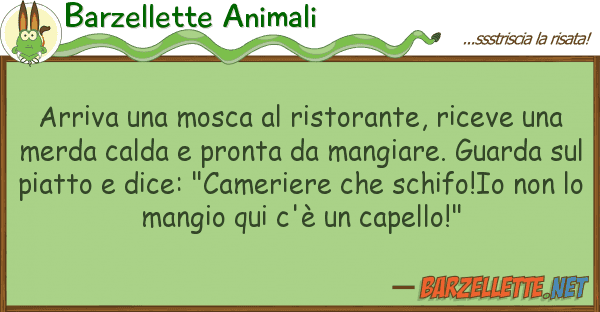 Barzellette Animali arriva mosca ristorante, riceve u