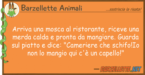 Barzellette Animali arriva mosca ristorante, riceve u