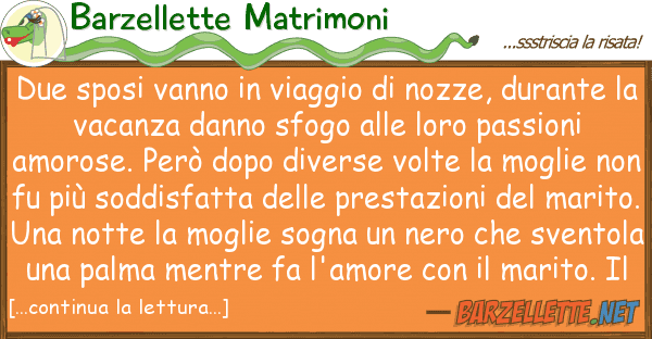 Barzellette Matrimoni due sposi vanno viaggio nozze, dur