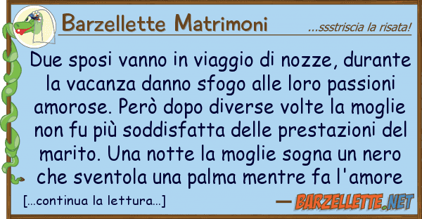 Barzellette Matrimoni due sposi vanno viaggio nozze, dur