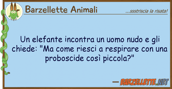 Barzellette Animali elefante incontra uomo nudo