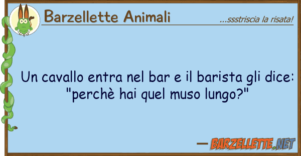Barzellette Animali cavallo entra bar barista gl
