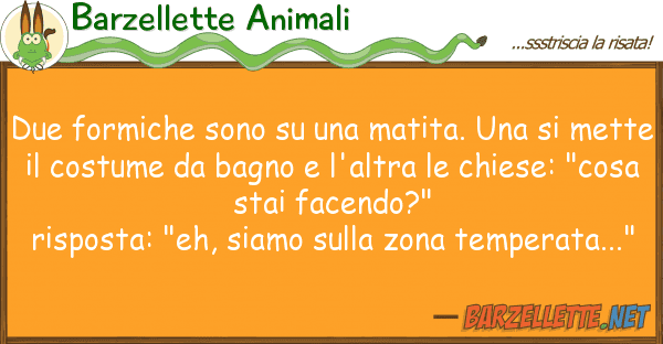 Barzellette Animali due formiche sono matita.