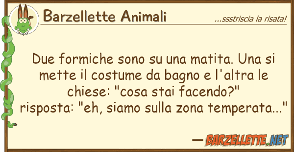 Barzellette Animali due formiche sono matita.