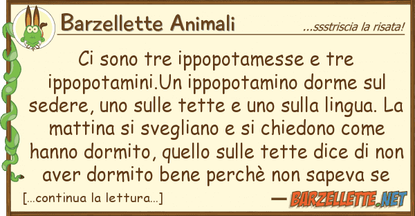 Barzellette Animali sono tre ippopotamesse tre ippopota
