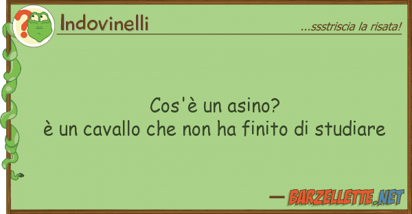 Indovinelli cos'è asino? è cavallo h